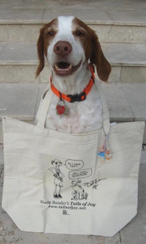 Tails of Joy Dog and Cat Totes - Image 4