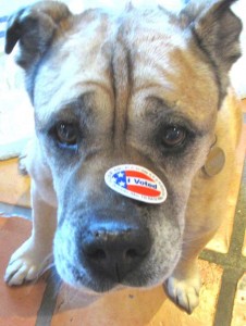 I Voted