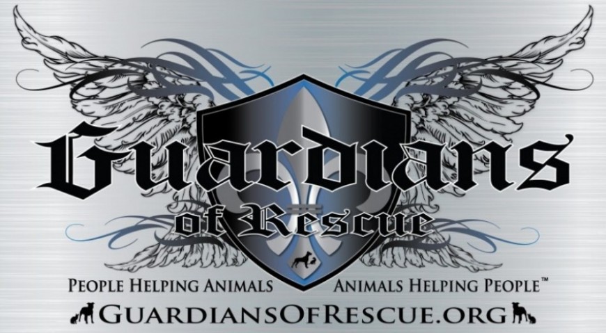 Guardians of Rescue