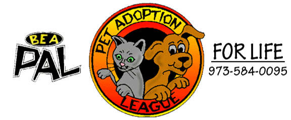 Pet Adoption League