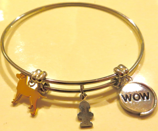 Alex and ani dog bracelet top