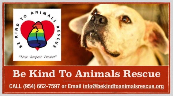 Be Kind to Animals Rescue