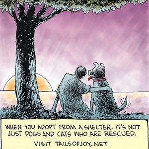 Wiley Miller's Non Sequitur Comic Strip