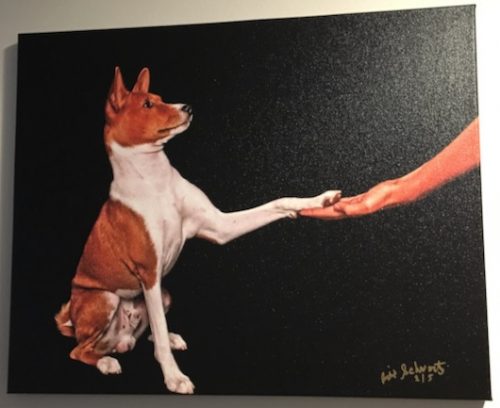 Limited Edition Photograph: "Paw in Hand" - Image 4
