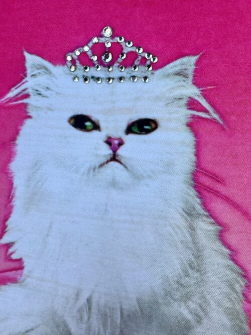 Queen Cat Purse Package: Purse, Bracelet, Cat Faucet Sponge, Puppets! - Image 2
