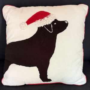 Fab Lab Pillow